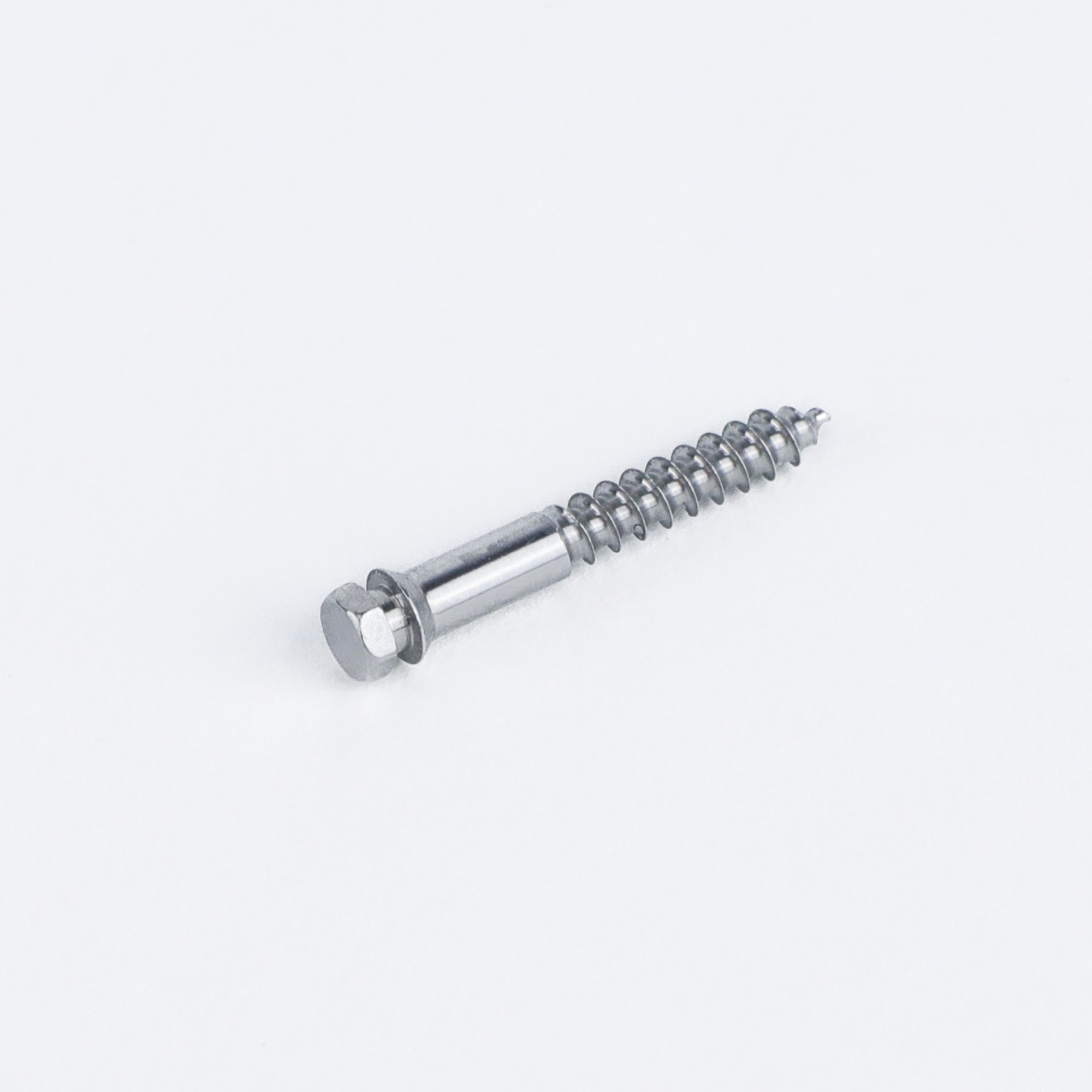 SEO-Optimized Product Description: SS/Titanium Mini Screw for MSE