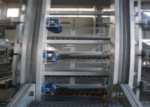 Quality High Strength Layer Poultry Farming Equipment Cross - Opening Door Design wholesale
