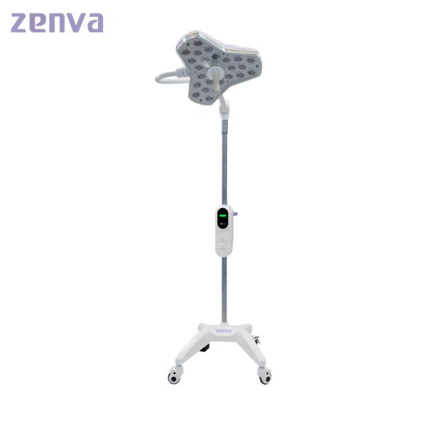Clinic Aluminum Alloy Surgical OT Lamp Battery Medical Operated Lights For