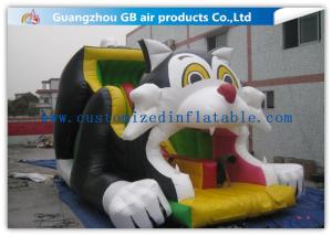 Quality Black Cat Big Water Slides , Commercial Water Slides For Backyard Kids Sliding wholesale