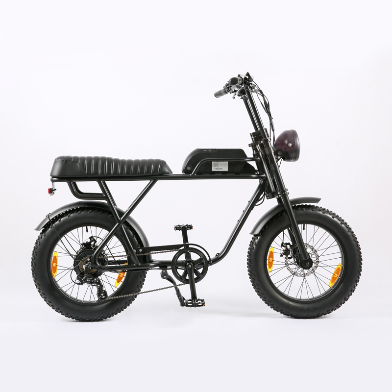Rear Carrier Battery Position 48V 1000W Electric Bicycle for Fast Speed and Customized