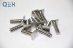 Square Head Bolts sS304 M16 High Tensile Stainless Steel Bolts