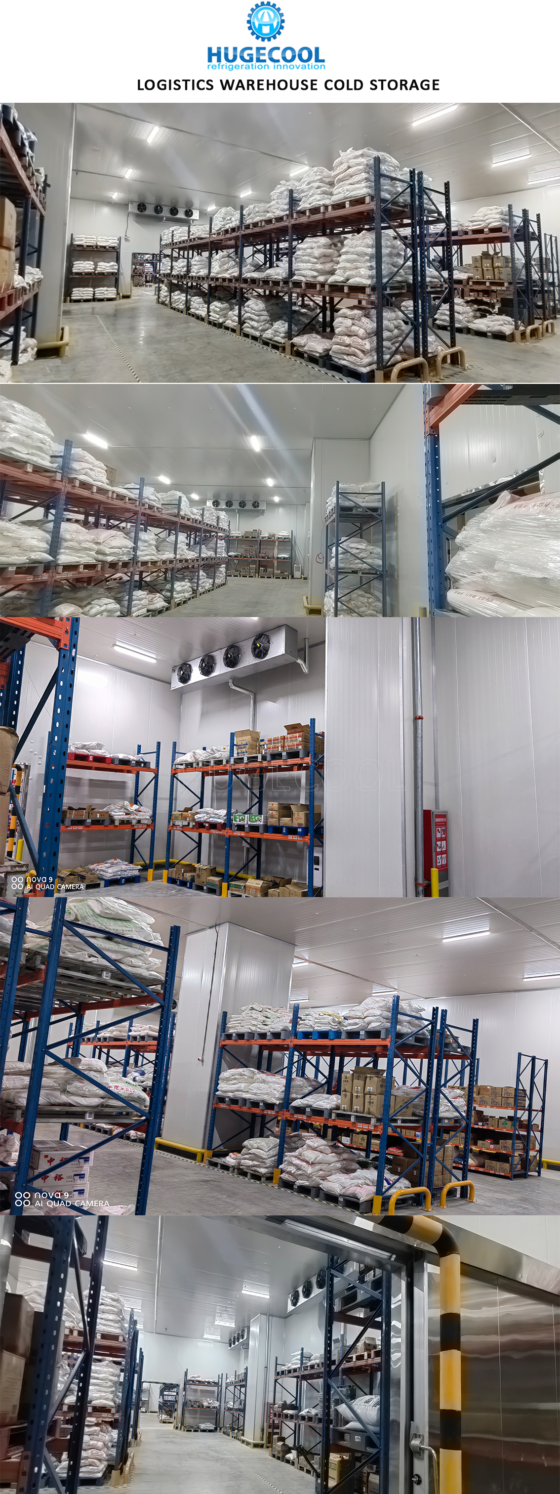 Cold Room For Fruits And Vegetable Fish Meat Seafood Storage Keep Cool Room