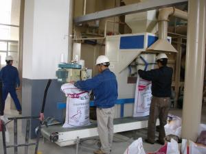Quality 12th Industrial Pellet Mill Wood Sawdust Pellet Maker wholesale