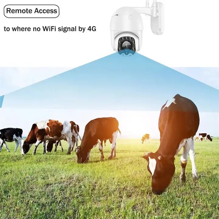 Durable Wireless IR Security Camera , 5X Zoom WiFi Night Version CCTV Camera