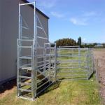 Galvanized Adjustable Loading Ramp Galvanised Steel Material For Livestock