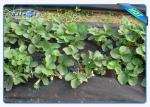 Winter Keep Heat / Fertilizer Agriculture Non Wover Cultivating Seedling Ground