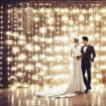 LED Curtain Light, LED Christmas Light, LED Holiday Light, LED Wedding Light,