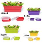 The Best Cool Collapsible Personalized Boys And Girls Silicone Toddler Lunch Box