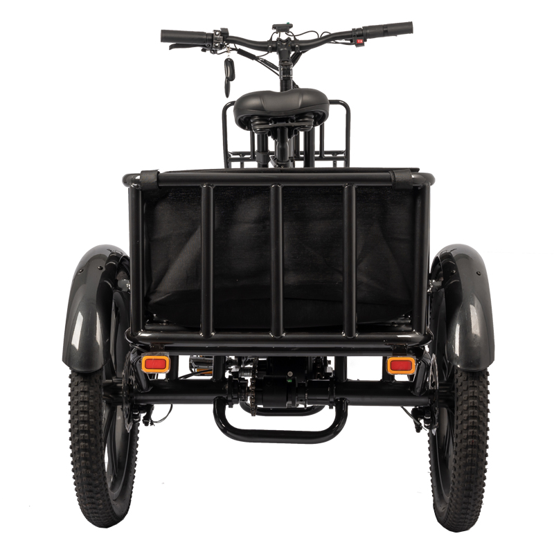 Customized Color Electric Fat Tire ebike 48V 500W Motor LCD Display Family Cargo Bike