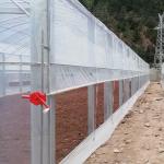 Double Film Double Arches Greenhouse Vegetable Growing 2.8m Tunnel Plastic