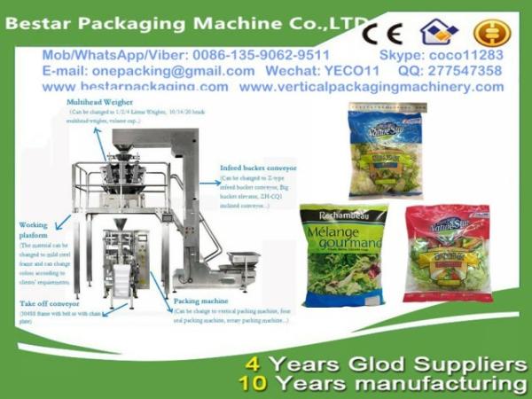 Fresh Garden Salad packing machine,all kind of vegetables, like iceberg lettuce,