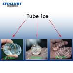 Focusun Delivers 10T/24hr Food-Grade Tube Ice Machine for Retail Market in