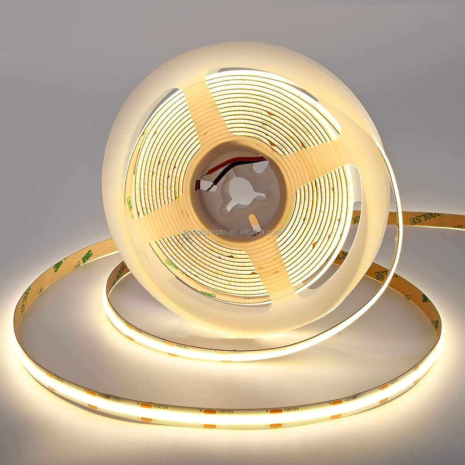 Customizable FPC CHIP RESISTOR LED Strip Light 12V 24V for Indoor and Outdoor Decoration