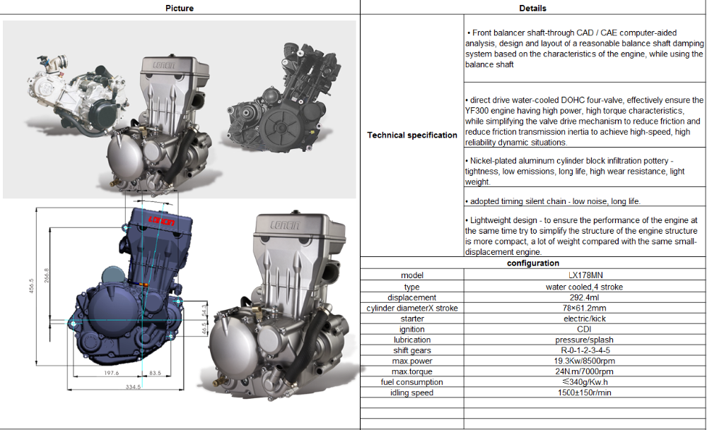 LIFAN/LONCIN/ZONGSHEN/DAYANG 300cc Motorcycle Tricycle Engine Electric/Kick Starter