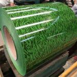 Zinc Ppgi/Hdg/Gi Dx51 Cold Rolled/Hot Dipped Galvanized Steel Coil Hot Rolled