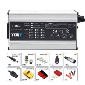 Quality Sweeper 12V 6A Battery Charger Power 120W Charger Lithium Ion wholesale