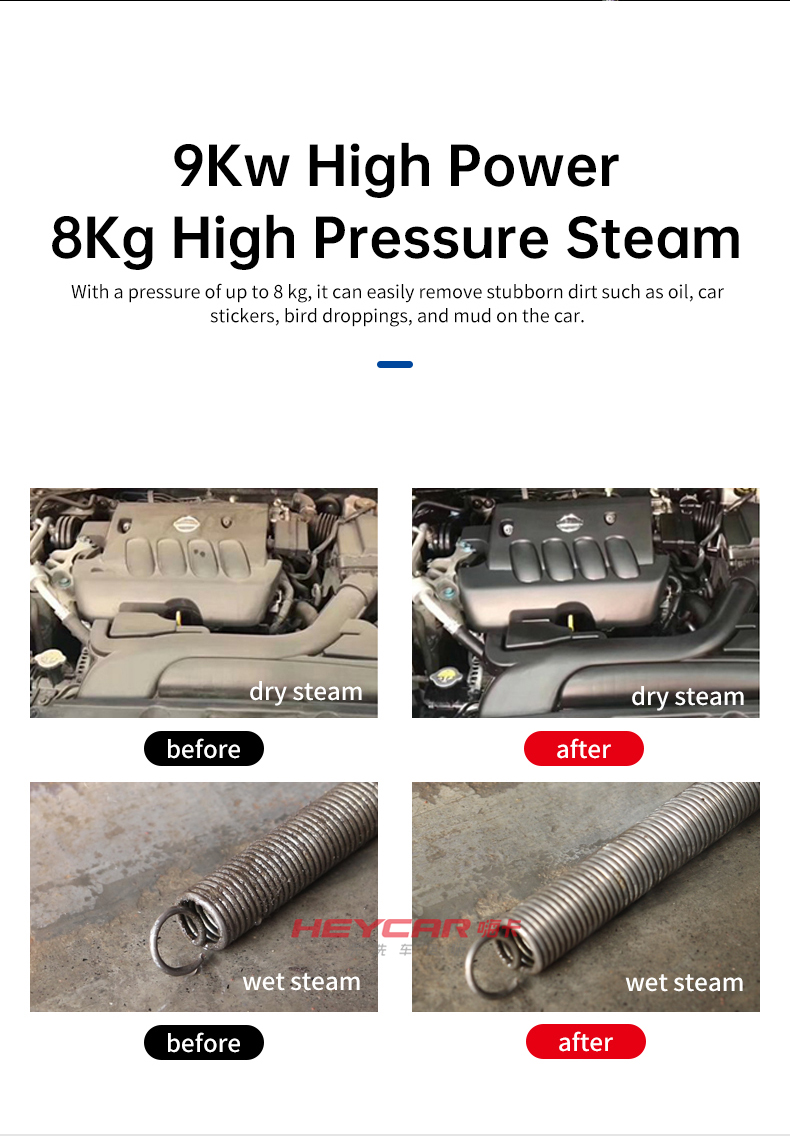 1500W Output Power Wet and Dry Steam High Pressure Car Washer for Cleaning Car Interior Engine Seats