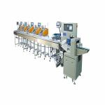 Good Price Plastic Bag Making Machine Cutting Sealing Film Pillow Horizontal