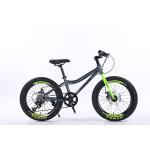 WANDA 20*2.125 Tyre 20" Steel Mountain Bike 7SP Kids' Bike With Safe And Durable