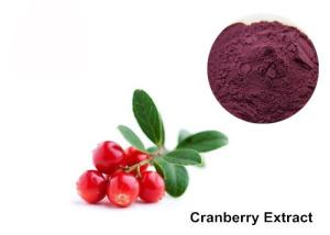 Quality Cranberry Fruit Purple Red 25% Anthocyanin Extract Powder wholesale