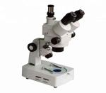 Stereo Microscope