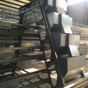 Quality Q235 Steel Battery Cage Automatic Poultry Feeding System 65x125x222cm Size wholesale