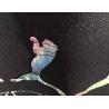 Buy cheap Glitter / Reflective Cad Cut Fashion Film DIY Projects Applied ECO Friendly from wholesalers
