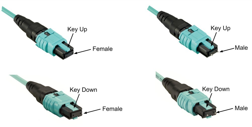 OM4 Type MMF-MPO-LC 12 Fiber core female-Female Connector Type B polarity Harness Mpo Patch Cord Cable