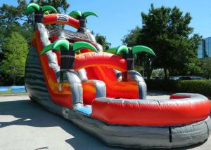 Quality Colorful Backyard Tropical Inflatable Water Slide With 5 Years Warranty wholesale