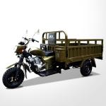 3 Wheel 150cc Cargo Motorcycle with Heavy Loader and Tyre 5.0-12