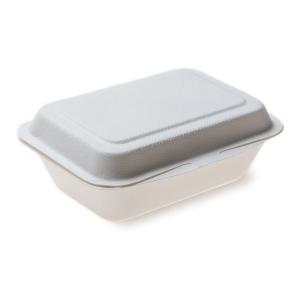 Quality Sugarcane Biodegradable Clamshell Boxes Tableware Take out Food wholesale