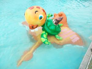 Quality Interactive Kids Water Playground Colorful Tortoise Spray For Resorts wholesale