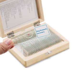Quality Biological Science Education PS25 Prepared Microscope Slide Set With Wooden Case wholesale