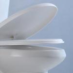 Elongated 2 Piece Toilet Watersense Commercial Toilets Soft Closed PP Seat