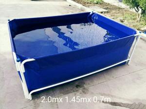 Quality Wholesale Pvc Fish Tank wholesale