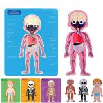 48pcs Educational Magnetic Human Body Jigsaw Puzzle Toys For 3 Year Old Toddler