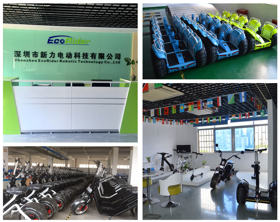 EcoRider company