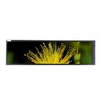 IPS TFT Resistive Touch Screen 12.6 Inch 1920x515 Advertising Display