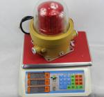 Explosion Proof Aircraft Warning Lights ATEX Approved IP66 220VAC 50Hz