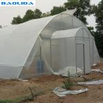 Vegetable Tunnel Plastic Film Greenhouse Single Span Hot Dip Galvanized