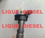 BOSCH Piezo injector 0445116017 0445116018 0 445 116 017 0 445 116 018 33800