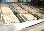 Wine Tray / Shoe Tray / Egg Tray Production Line Rotary Forming Type Compact
