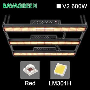 Quality Hydroponic Tent 4 Foot 600W 800W 1000W LED Light Bar SAMSUNG LM301H Board wholesale