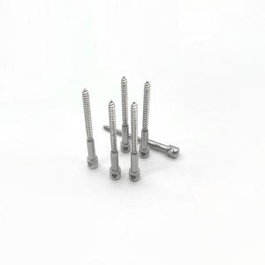 Quality Drilled Head Sealing Electric Meter Screw For Watthour Meters wholesale