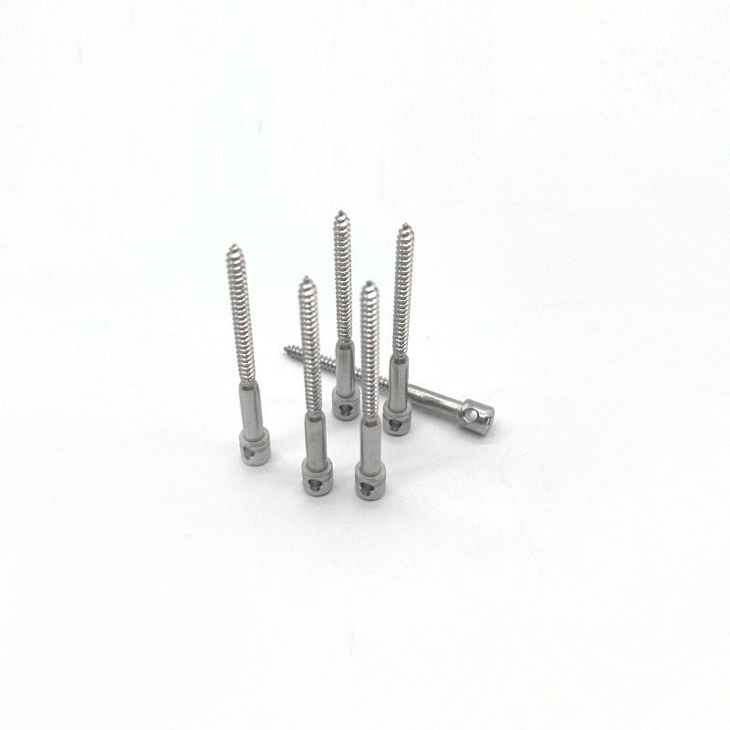 SS304 Cross Hole Meter Screw, Stainless Steel Smart Power Electric Meter Sealing Screw For Energy Meter