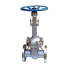 High Temperature Pressure DZ41Y stainless steel cryogenic gate valve flange 50 ~