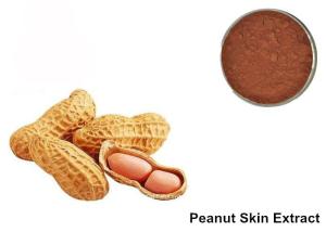 Quality 95% Proanthocyanidins Peanut Skin Anthocyanin Extract Powder wholesale