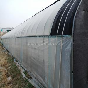 Quality Maximize Mushroom Production with Customizable Single-Span Agricultural Greenhouses wholesale