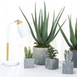 Plastic Artificial Aloe Vera For Indoor Decoration Fake Plants